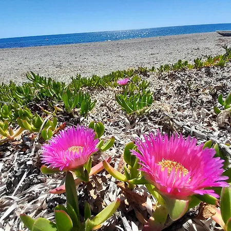 Апартаменты Vista Torre 2 Бари-Сардо
