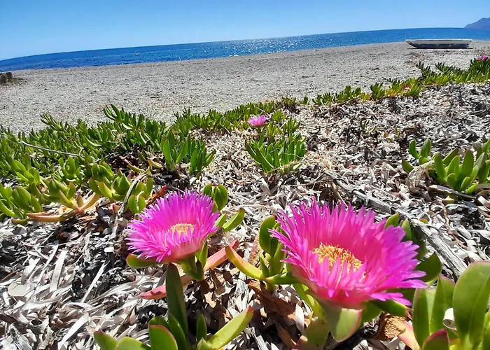 Apartamento Vista Torre 2 Bari Sardo